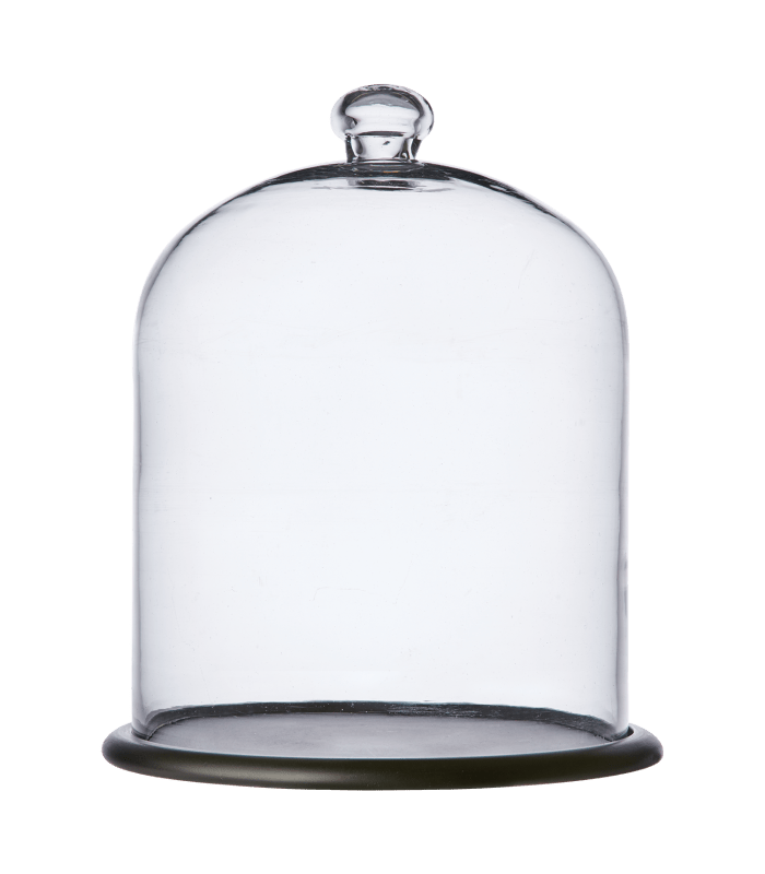 Cloche en verre avec support en bois ARLO - 34 cm - Koddel.com