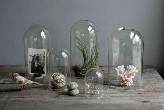 Cloche en verre cylindre Ø18 X 26 cm